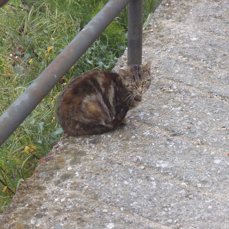 Day 21 Still not quite in Galicia…