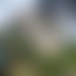 Day 7 Agueda to Albergaria