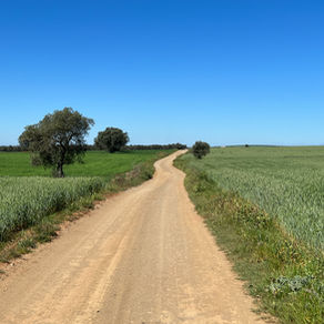 Day 8, Cabeca Gorda to Beja