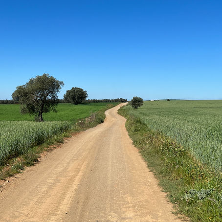Day 8, Cabeca Gorda to Beja