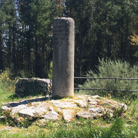 To the end of the Primitivo