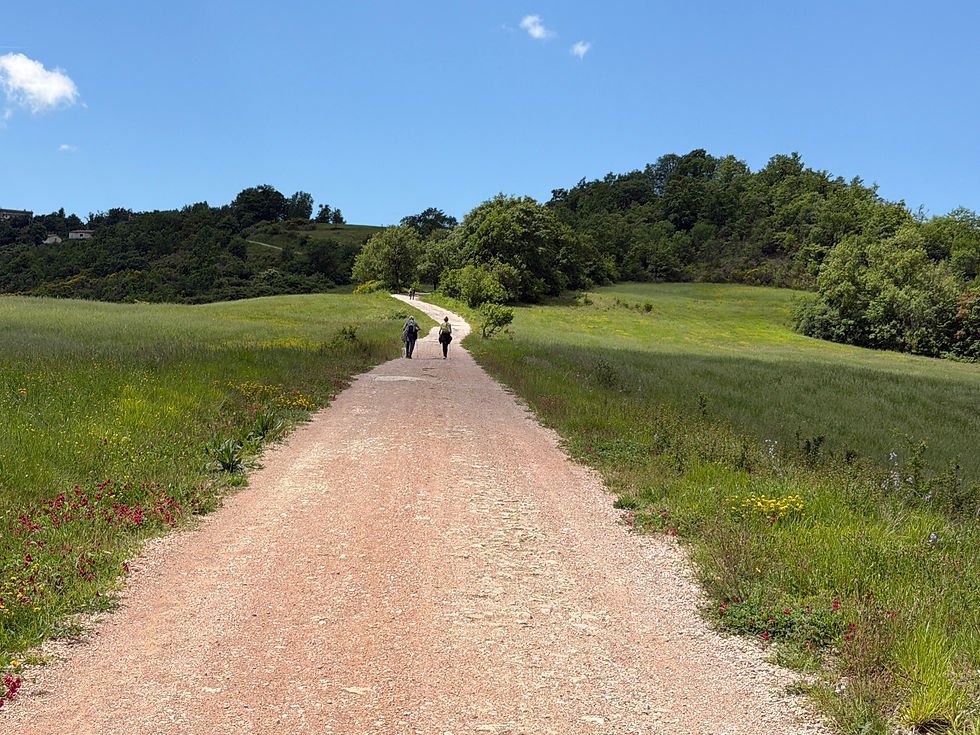 Another classic camino photo
