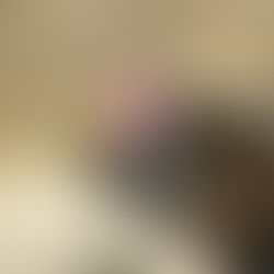 Day 10 Merida to Aljucen