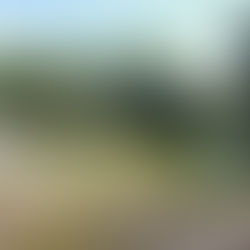 Day 3 Barcelos to Ponte de Lima