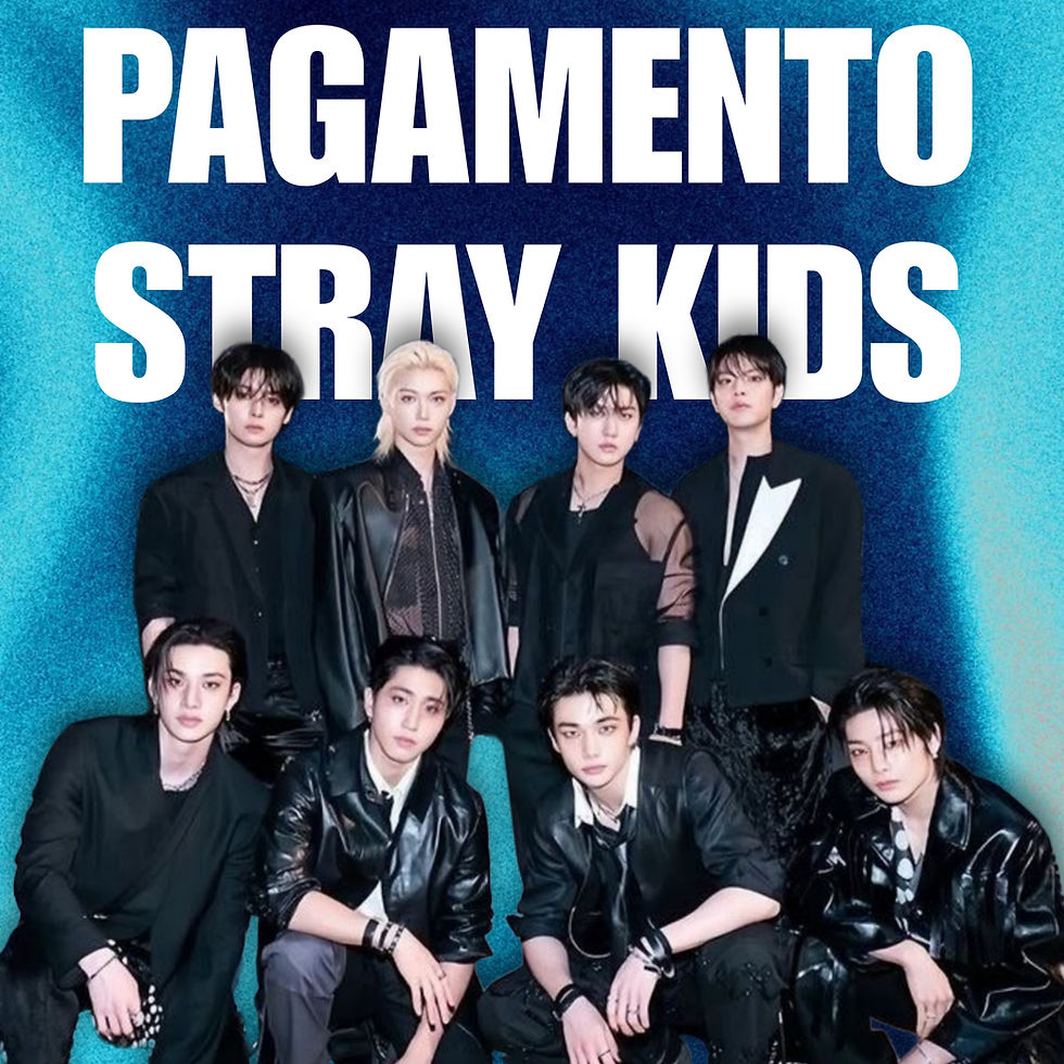 PAGAMENTO STRAY KIDS - RIR
