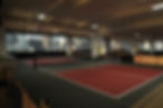 Pickleball Courts