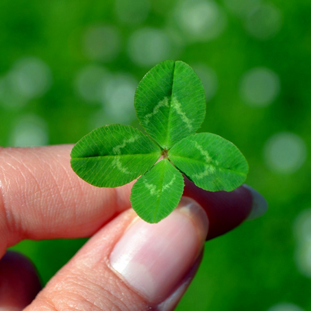 Neues Jahr - neues Glück