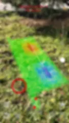 Proffesional Imaging Mode