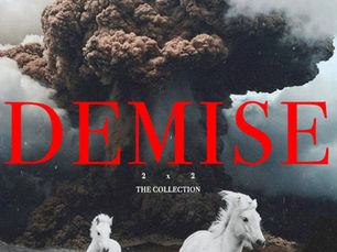 DEMISE LOOKBOOK