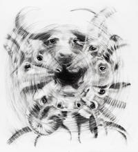 Antlered Animals Circle