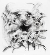 Antlered Animals Circle