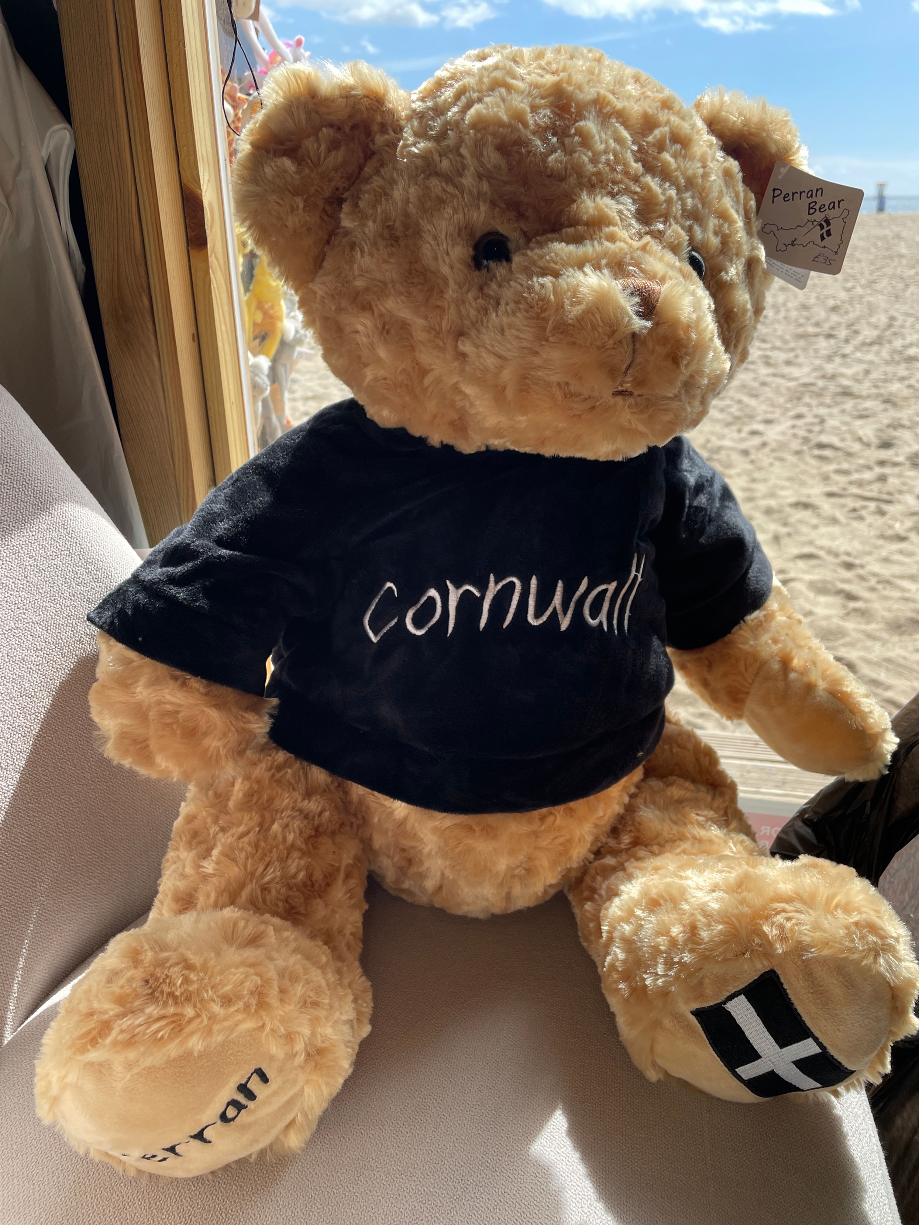 50cm Eco Cornwall Perran Bear 