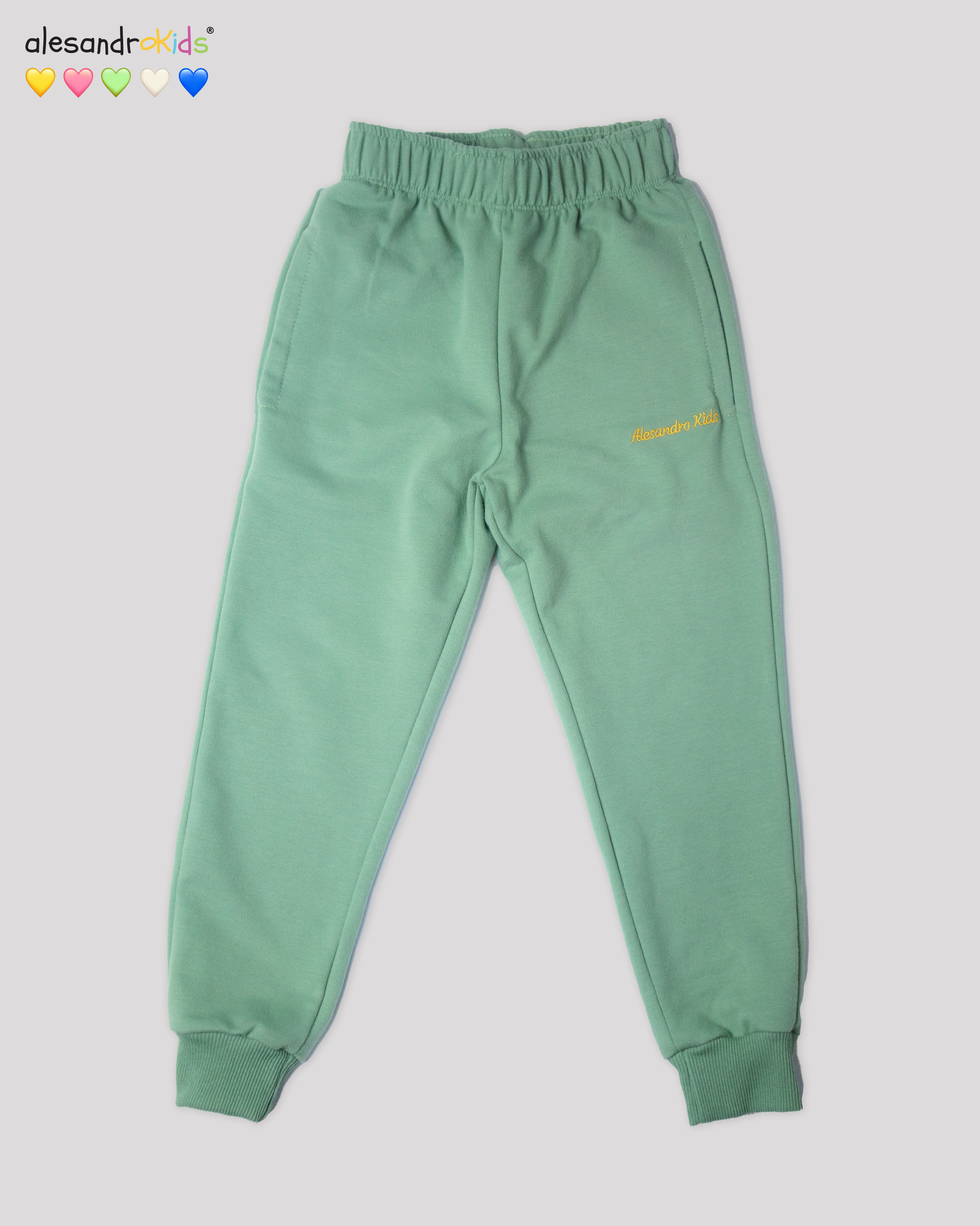 Zelena Trenerkica v2.0