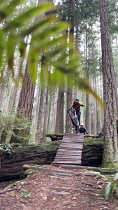 Mountain biker dropping onto wooden ladder