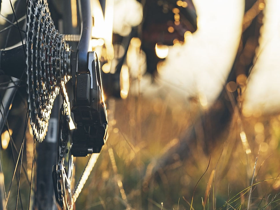 SRAM Eagle XX Transmission