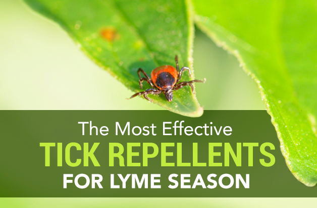 the most effective tick repellents