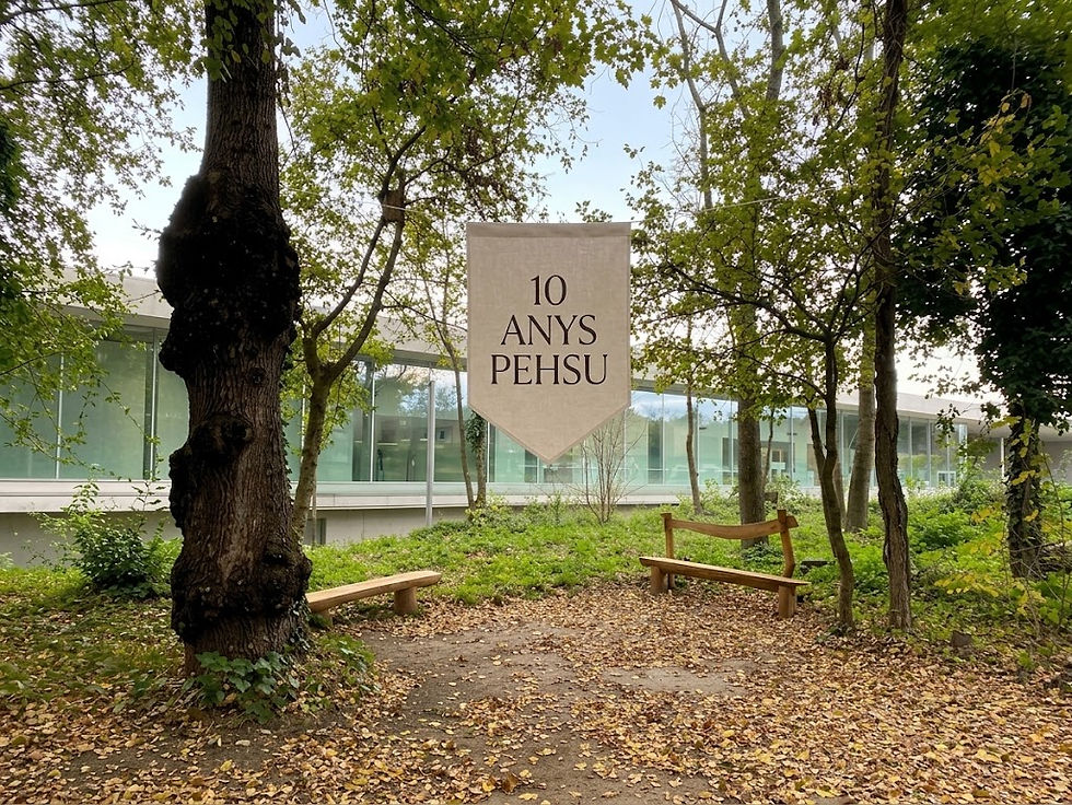 10è Aniversari de la PEHSU