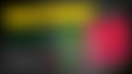 Καλλιστήμονας (Callistemon sp.): Το φυτό «βούρτσα» που μεταμορφώνει κάθε κήπο