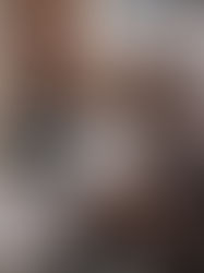 Are French Bulldogs Smart? Understanding the Intelligence Behind the Frenchie Personality