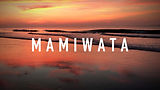 Humafish4 exPLOREMAMIWATA.jpg