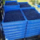 Thumbnail: Holland Farms All Natural Blueberries