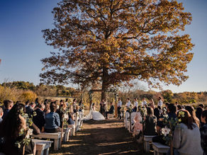 bride and groom seated at altar next to a large tree during an autumn wedding outdoors, guests watch from seats