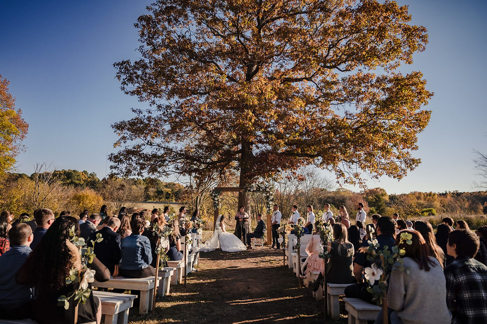 Outdoor autumn wedding under a large leafy tree, bride and groom sitting at altar facing each other, officiant behind them, guests seated on white benches in a sunlit field.