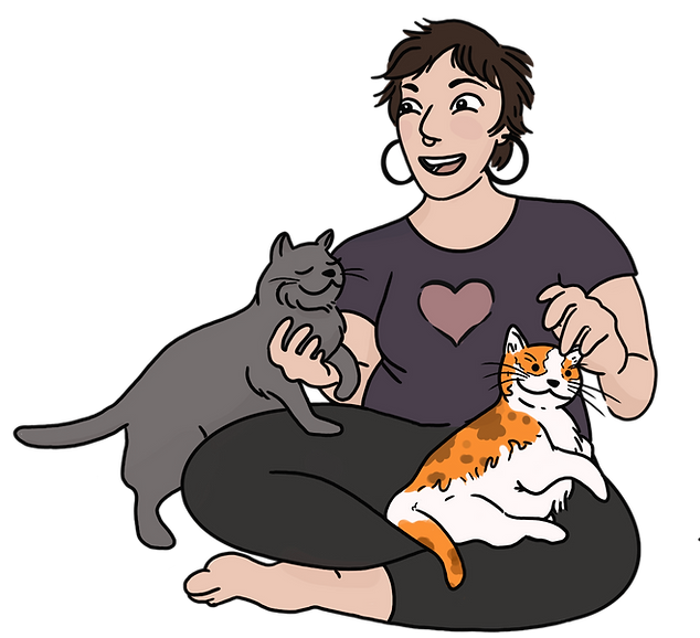 cat-sitter-in-DC-catsitting-visits