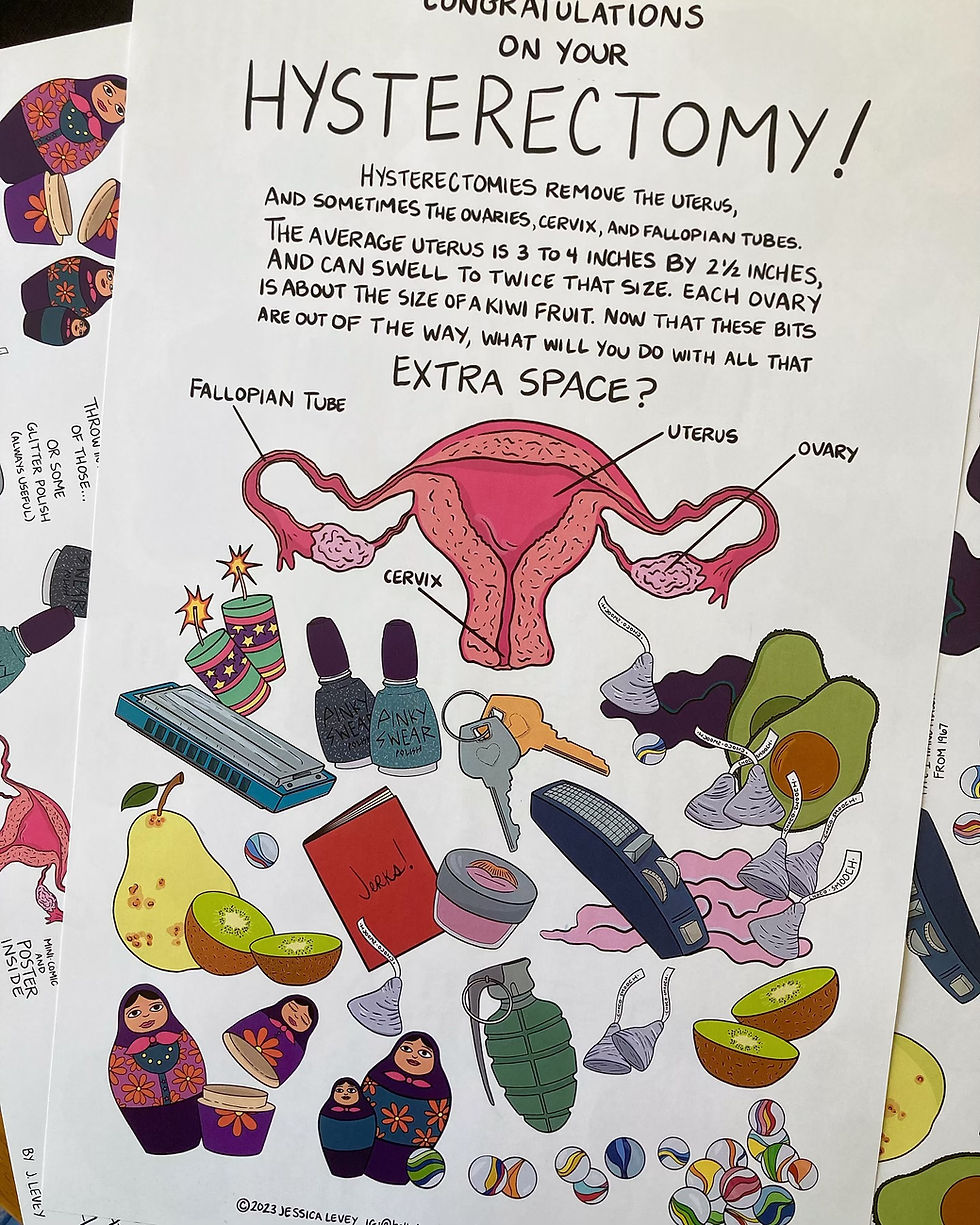 illustrated drawing of uterus, ovaries, fallopian tubes, and other fun objects