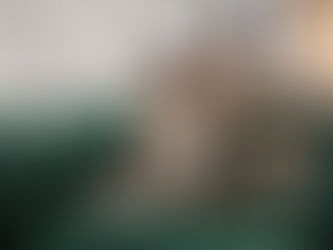 Happy couple works on wedding planning at home on the couch