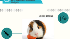 Dale un Vistazo a nuestra infografía