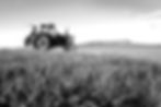 Native Cover AI Crop Calculator