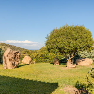 Lush garden with greenery surrounding Villa Esmerea in Costa Smeralda