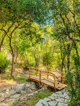 Morning yoga, scenic coastal walks, and peaceful gardens for reconnecting with nature in Costa Smeralda, Sardinia