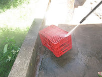 "red crate photograph II (Superstar)", Brazil, 2014