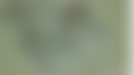 1# O que é que o Goiano tem?