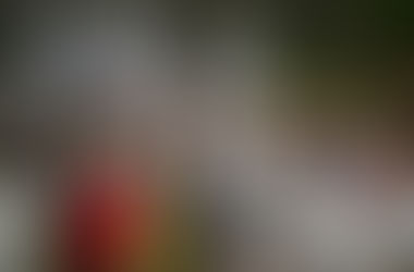 6# Cobertura - A volta dos que não foram!