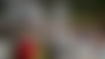 6# Cobertura - A volta dos que não foram!