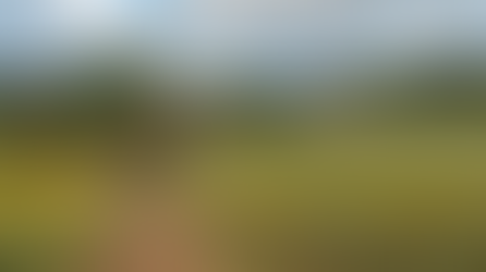 Walking the Camino: A Journey of Radical Hope and Meaning