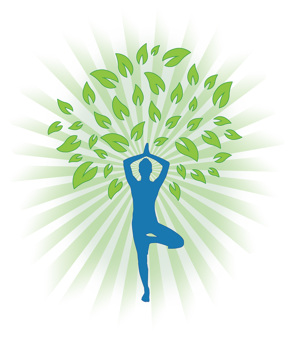 Body and Mind Health Center Icon
