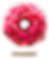 C-STRAWBERRY