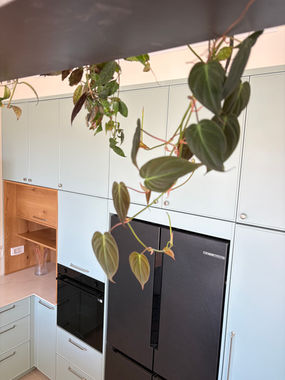 שילוב צמחייה בעיצוב מטבח בסגנון נורדי נקי ומרענן, הום סטיילינג רויטל סלמון.