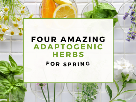 Four Amazing Adaptogenic Herbs for Spring