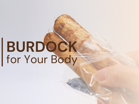 Burdock: The cleansing herb