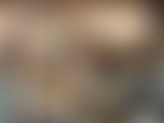 Book Shop Winters Owl