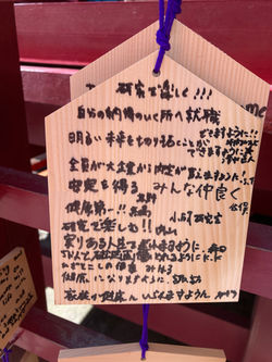 箱根神社で願掛け