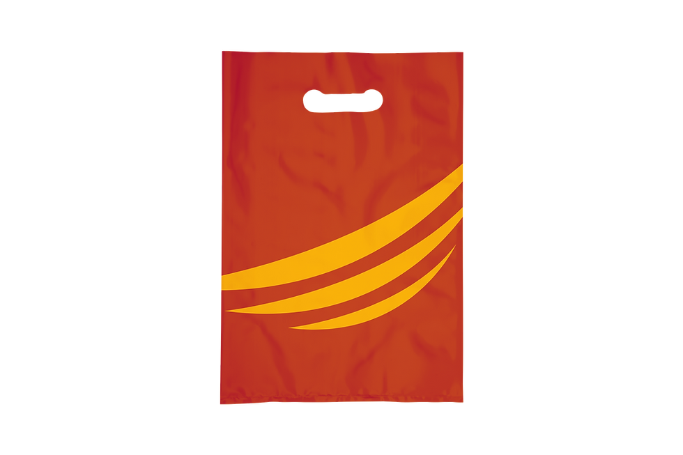 Paxy Plas El Geçme Poşet Handled Bag