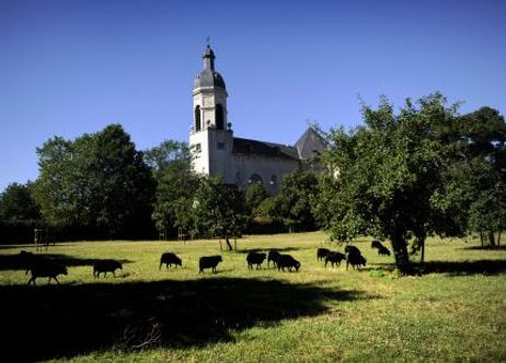 abdijvanvlierbeek.jpg