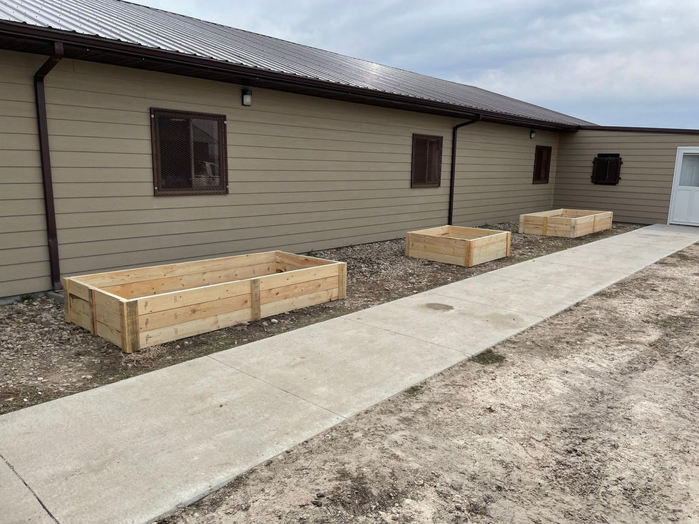 Gardens at AYC: Bringing Regenerative Agriculture to Pine Ridge Reservation