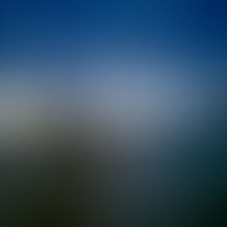 The Road to Kino Bay: Potholes, Semiremolques, and a Handful of Tiny Clams